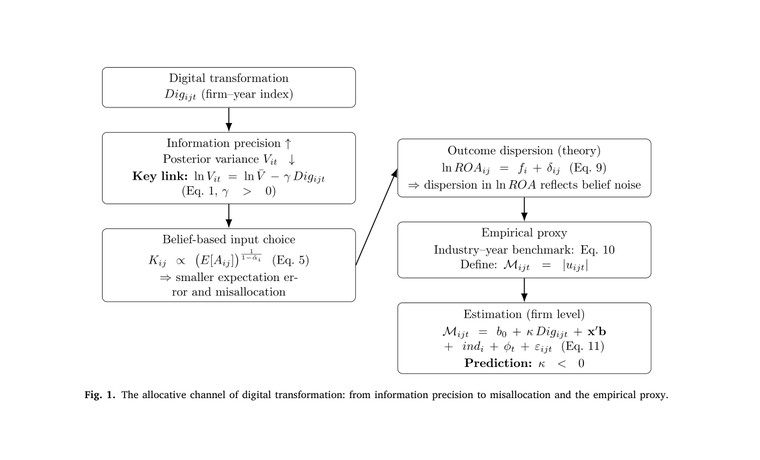 Allocative channel of digital transformation